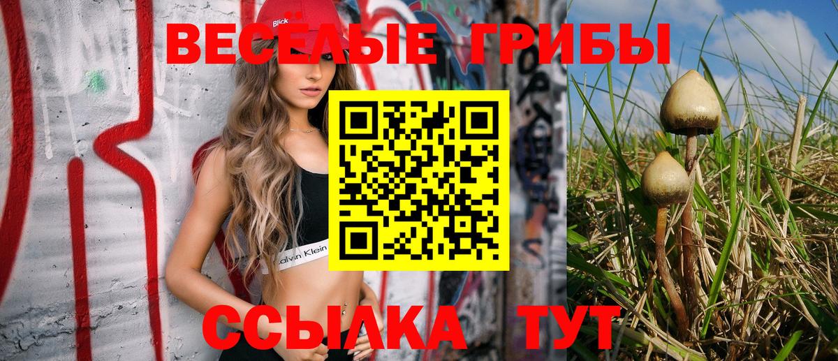 Псилоцибиновые грибы прущие грибы Похвистнево