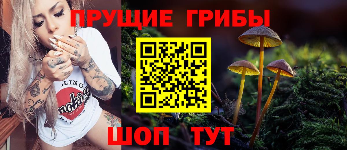 Псилоцибиновые грибы ЛСД  Галлюциногенные грибы GOLDEN TEACHER  Вход с VPN  Похвистнево 